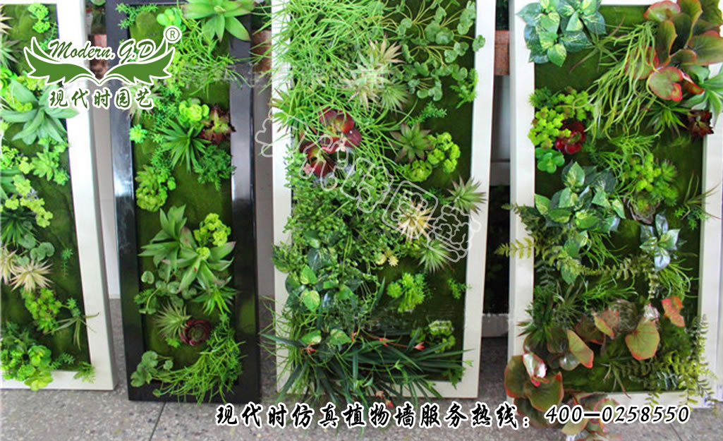 �҃ȷ���ֲ�